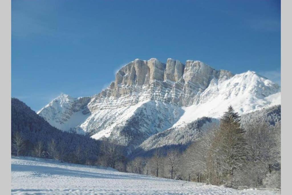 Petit Studio Mansarde 18 M2 Avec Navette Gratuit Aux Pistes De Ski Gresse-en-Vercors Exteriér fotografie